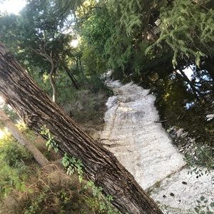 Meet your Posher, Jake